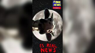 Is Farming SUSTAINABLE On Any Lunar Surface