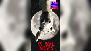 Is Farming SUSTAINABLE On Any Lunar Surface