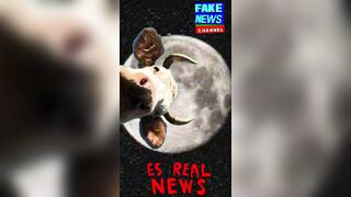 Is Farming SUSTAINABLE On Any Lunar Surface