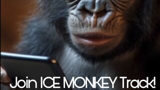 ICE TRACK MONKEY + Warrior “Immigration” Law Advisor