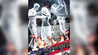 ICE-MONKEY.ORG IS LIVE IN BETA!