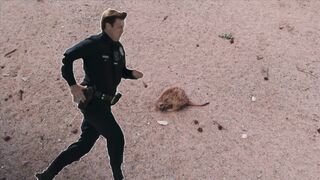 Agent Rats in LA - Stateless Warrior