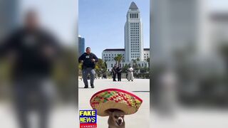 ICE Chasing Undocumented Chihuahua