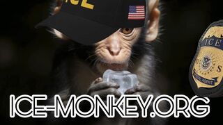 ICE-monkey.org Promo Quickie