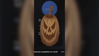 Warrior Shield -  XaEthos.com