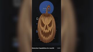 Warrior Shield -  XaEthos.com