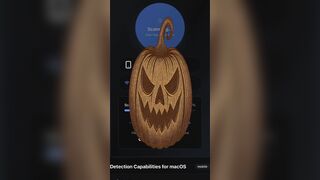 Warrior Shield -  XaEthos.com