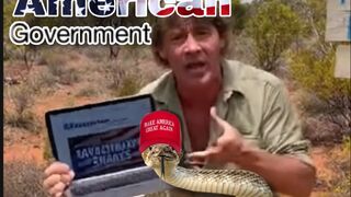 American Government Snakes