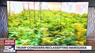 American Narcotics LEGALIZATION HIGHWAY