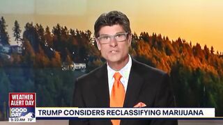 American Narcotics LEGALIZATION HIGHWAY