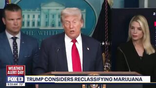 American Narcotics LEGALIZATION HIGHWAY