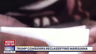 American Narcotics LEGALIZATION HIGHWAY