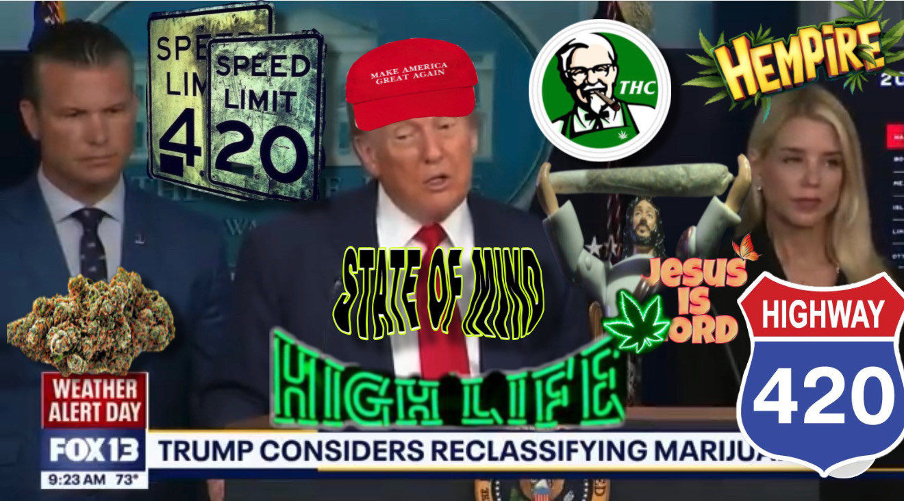 American Narcotics LEGALIZATION HIGHWAY