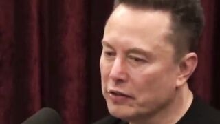 Elon Musk Agrees USA IS DOOMED