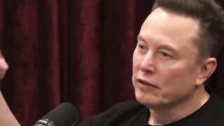Elon Musk Agrees USA IS DOOMED