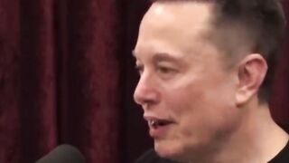 Elon Musk Agrees USA IS DOOMED