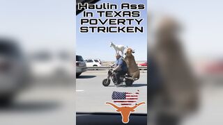 Haulin Ass In Texas