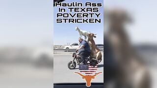 Haulin Ass In Texas