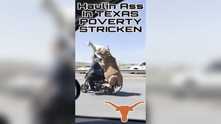 Haulin Ass In Texas