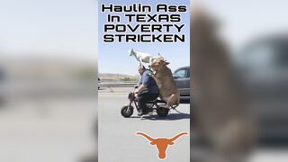 Haulin Ass In Texas