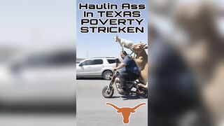 Haulin Ass In Texas