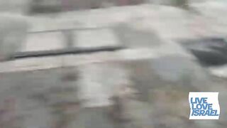Real Jew Brat BASTARDS