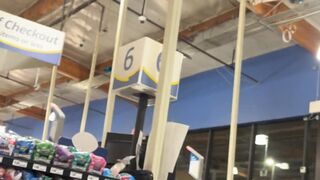 Supermarket Stalker Cockroaches