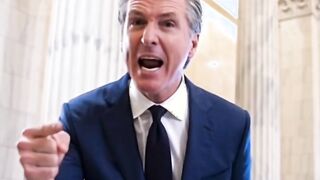 Mar-A-Lago Mafia Series “Newsom Episode”